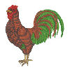 ROOSTER