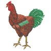 ROOSTER