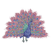 PEACOCK