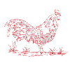 ROOSTER