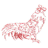 ROOSTER