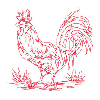 ROOSTER