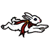 HOPPING BUNNY