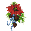 POINSETTIA