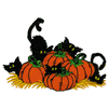 BLACK CATS AND PUMPKINS