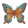 BUTTERFLY