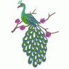 PEACOCK