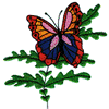 BUTTERFLY