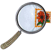 MAGNIFYING GLASS