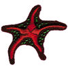 STARFISH (PUFFY FOAM)