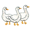 THREE DUCKS