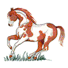 PAINT HORSE