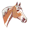 HORSE HEAD