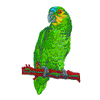 PARROT