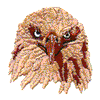 EAGLE HEAD