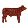 CALF