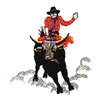 BULL RIDER