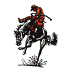 BRONCO RIDER