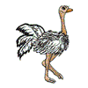 OSTRICH