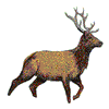 ELK