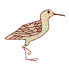 SANDPIPER