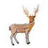 DEER #465