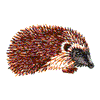 HEDGE HOG