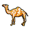 SMALL CAMEL