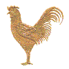 ROOSTER