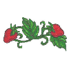 STRAWBERRY VINE