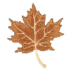 LEAF