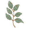 LEAF