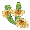 CACTUS W/FLOWERS