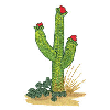 CACTUS