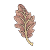 LEAF