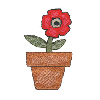 FLOWER IN A POT