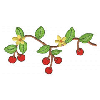 CHERRIES