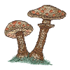 MUSHROOMS