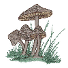 MUSHROOMS