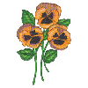 PANSIES