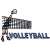 VOLLEYBALL