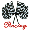 RACING FLAGS