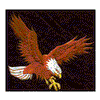 EAGLE (SEWN ON BLACK)