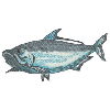 TARPON FISH