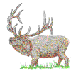 ELK