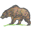 GRIZZLY BEAR