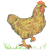 HEN