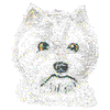 WEST HIGHLAND WHITE TERRIER