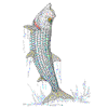 TARPON