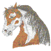 WILD MUSTANG HEAD